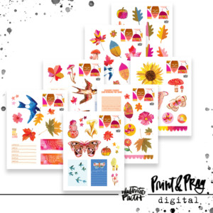 The Art of Noticing Ephemera (digital)