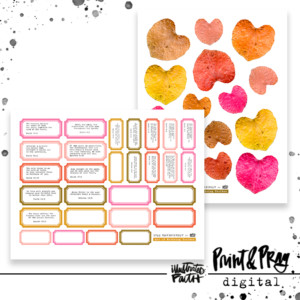 The Art of Noticing Toolbox