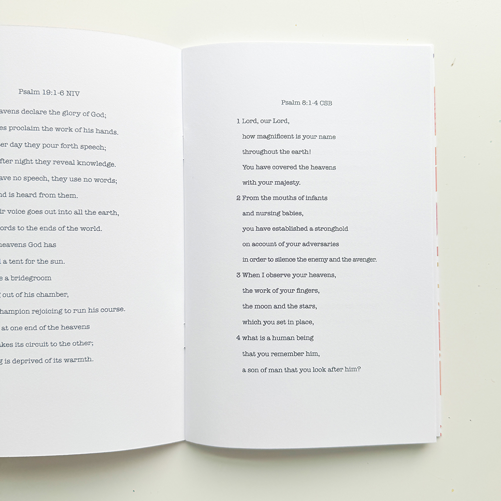 annotated_noticing_3