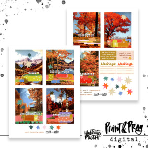 Mary's Thanksgiving Moments