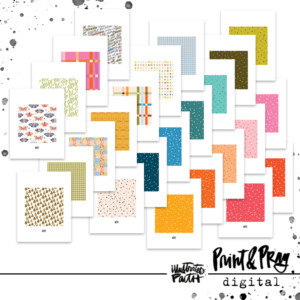 Camp Acts Papers (digital)