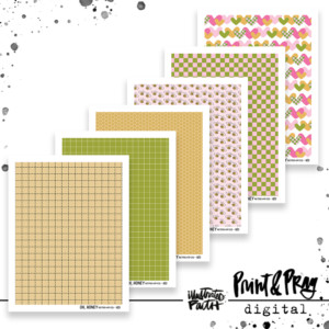 Oh, Honey Patterned Paper Bundle