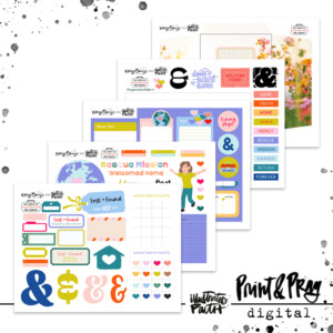 The Whole Kit & Caboodle: Lost & Found